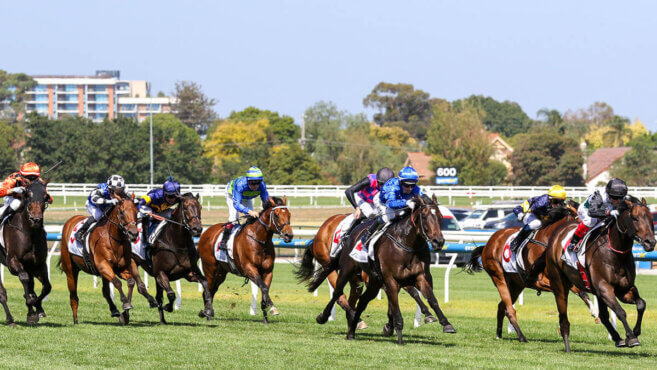 Thousand Guineas Tips 2026: Predictions & Best Bets