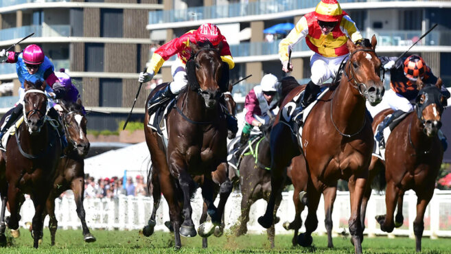 Daily Racing Best Bets | Wednesday 25 September