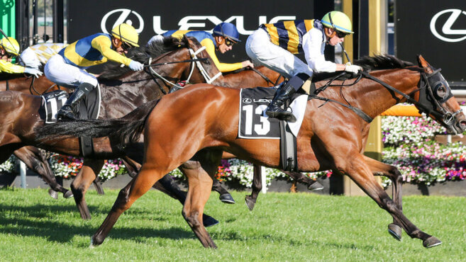 Cox Plate Past Winners, Results & History