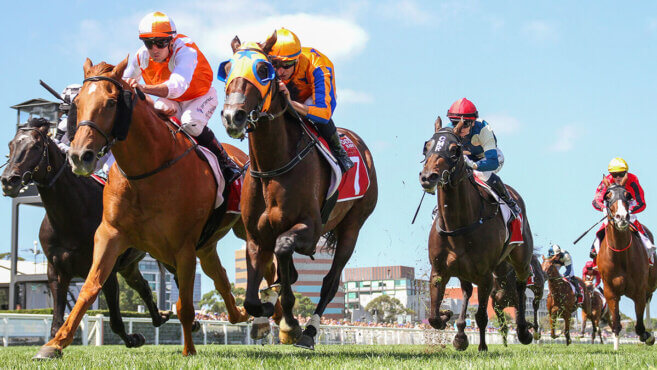 The Kosciuszko Tips 2026: Predictions & Best Bets