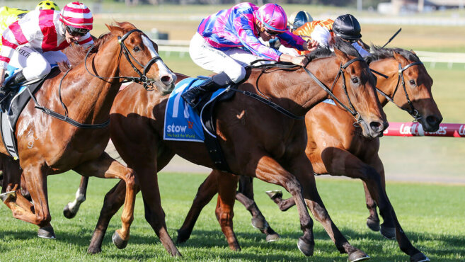 Behemoth Stakes Tips 2026: Predictions & Best Bets