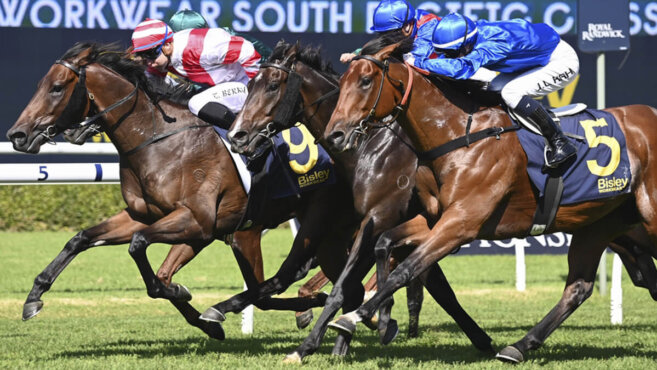 King Charles III Stakes Tips 2026: Predictions & Best Bets