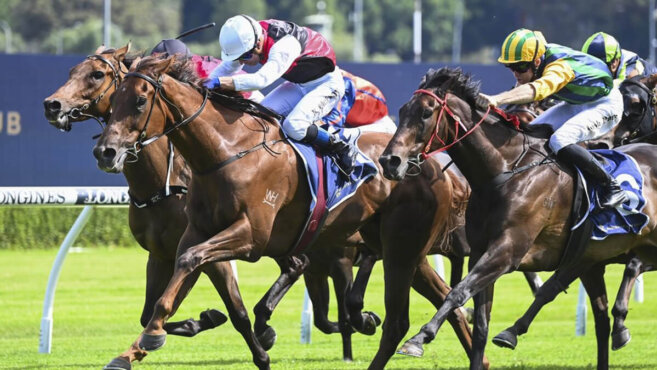 Missile Stakes Tips 2026: Predictions & Best Bets