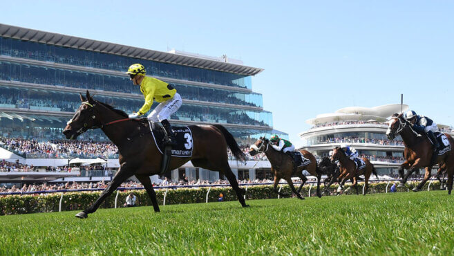 Melbourne Cup Runners As Sportspeople